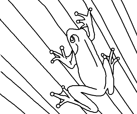 Green Tree Frog Coloring Page. Click here to open a printer friendly copy of 