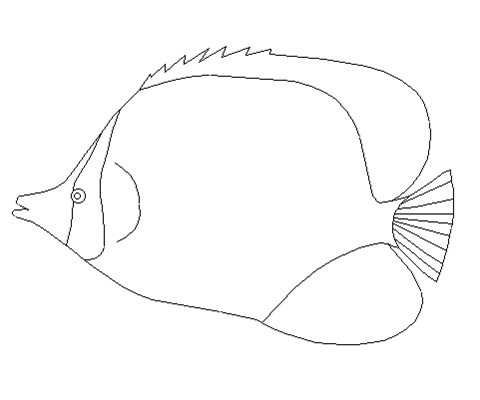 Printable Fish Pattern