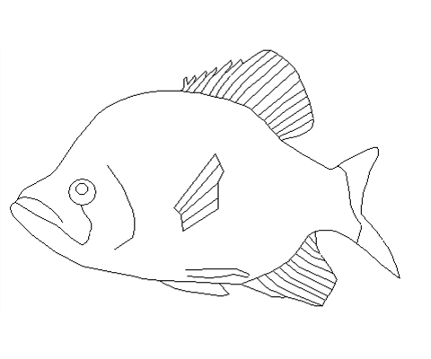 Free Printable Fish Carving Patterns