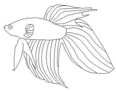 Free Wood Carving Patterns Fish | Carving Wood